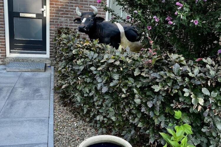 Cozy Holiday Home In Elim With A Furnished Garden ภายนอก รูปภาพ